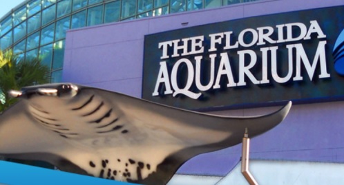 Admission To Florida Aquarium