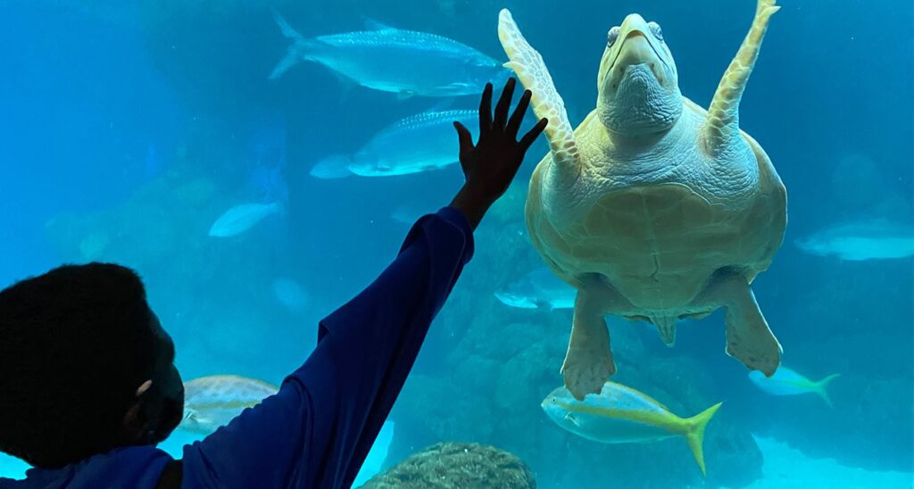 Florida Aquarium