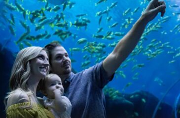 Georgia Aquarium Tickets