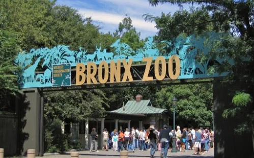 The ZOO In New York City